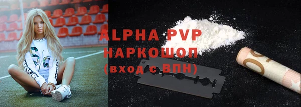 прущие грибы Корсаков