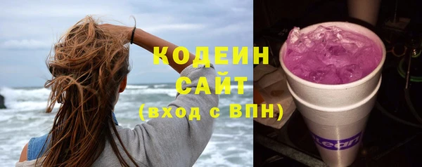 прущие грибы Корсаков