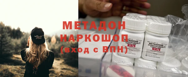 прущие грибы Корсаков