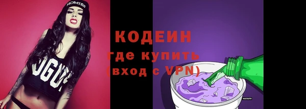 прущие грибы Корсаков
