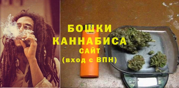прущие грибы Корсаков