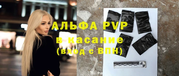 прущие грибы Корсаков